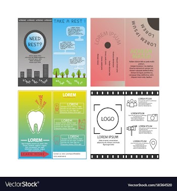 Business set brochure template layout cover vector image