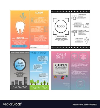 Business set brochure template layout cover vector image