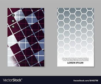 Business set brochure template layout cover vector image