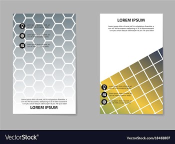 Business set brochure template layout cover vector image