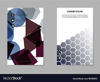 Business set brochure template layout cover vector image