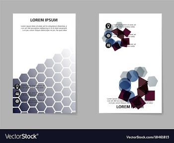 Business set brochure template layout cover vector image
