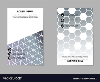 Business set brochure template layout cover vector image