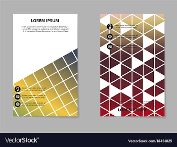 Business set brochure template layout cover vector image