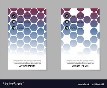 Business set brochure template layout cover vector image