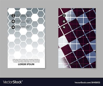 Business set brochure template layout cover vector image