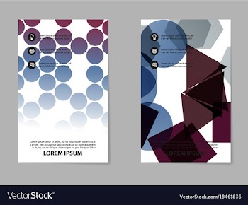 Business set brochure template layout cover vector image