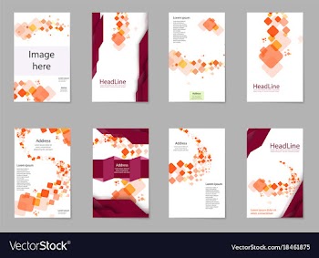 Business set brochure template layout cover vector image