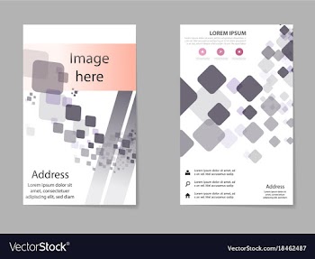 Business set brochure template layout cover vector image