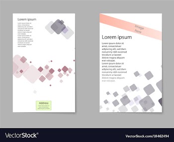 Business set brochure template layout cover vector image