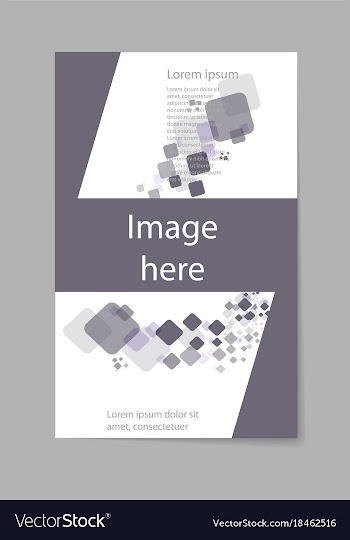 Business set brochure template layout cover vector image
