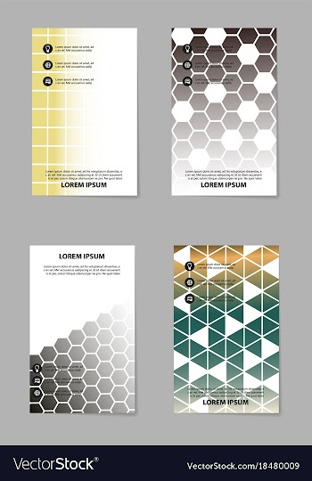 Business set brochure template layout cover vector image