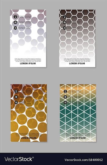 Business set brochure template layout cover vector image