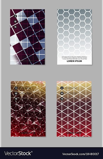 Business set brochure template layout cover vector image