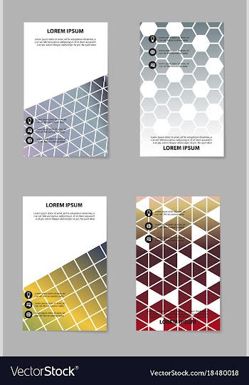 Business set brochure template layout cover vector image