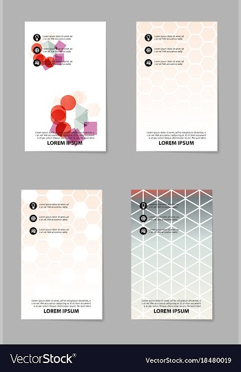 Business set brochure template layout cover vector image