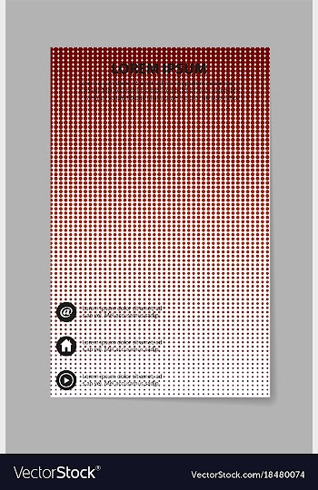 Business set brochure template layout cover vector image