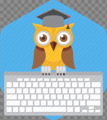 Busy, cartoon, computer, keyboard, owl, teacher, working icon