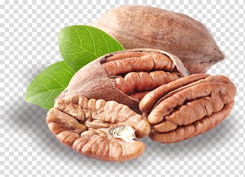 Butter pecan Nut Praline Dried Fruit, walnut transparent background PNG clipart