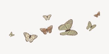 Butterflies border, off white background, | Free Vector Illustration - rawpixel