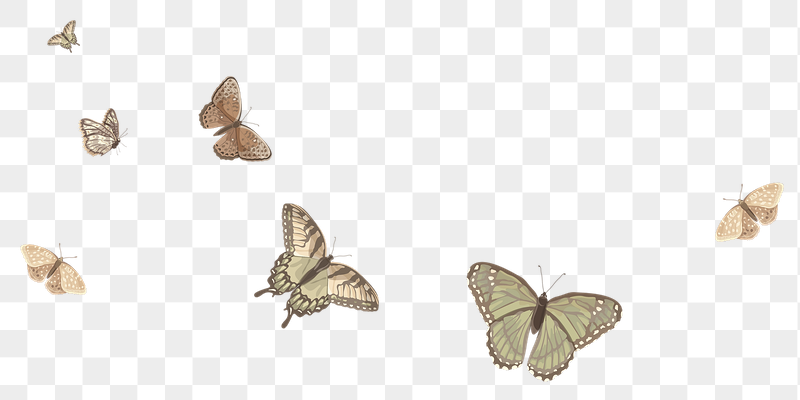 Butterflies border png sticker illustration, | Free PNG - rawpixel