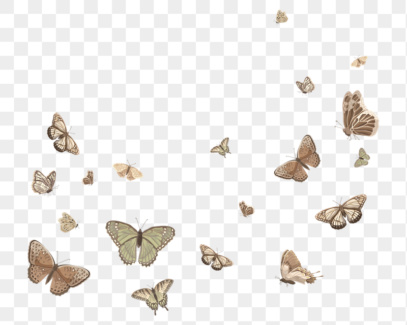 Butterflies border png sticker illustration, | Free PNG - rawpixel