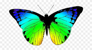 Butterflies Butterfly Clipart - Butterfly Wing Black And White