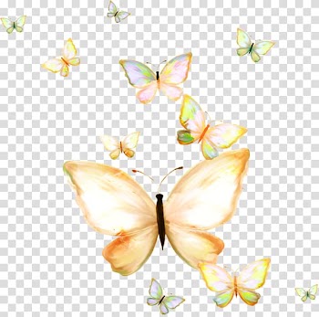 Butterflies , Butterfly Papillon dog Nymphalidae , Fresh group hand-painted butterfly transparent background PNG clipart
