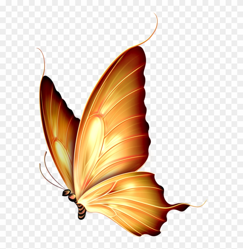 Butterflies - Butterfly Png