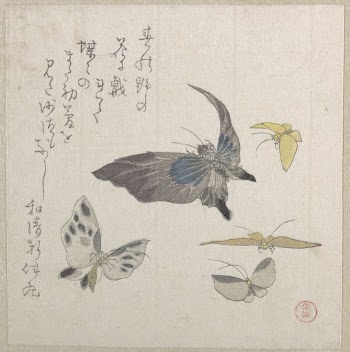 Butterflies by Kubo Shunman | Free Photo - rawpixel