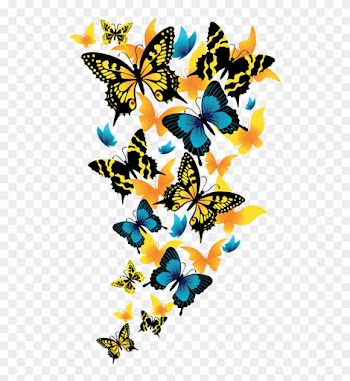 Butterflies Clipart Picture - Png Format Butterfly Png Background