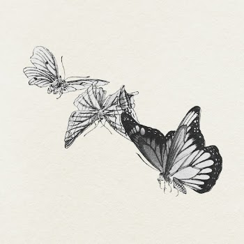 Butterflies illustration  | Free Photo Illustration - rawpixel