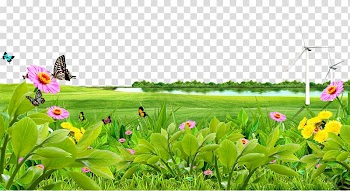 Butterflies on flowers , Meadow Lawn , Lake meadow flowers background material transparent background PNG clipart