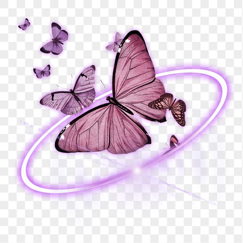 Butterflies png, digital transformation, technology | Free PNG - rawpixel