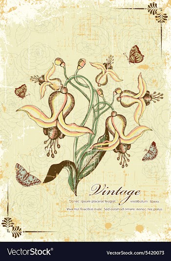 Butterflies with floral vector image