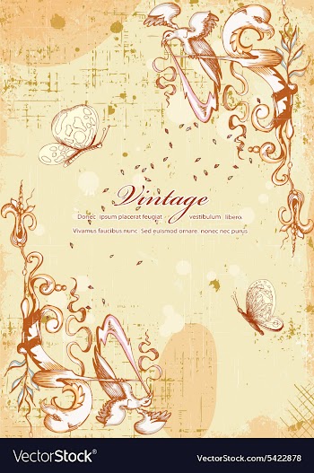 Butterflies with floral vector image