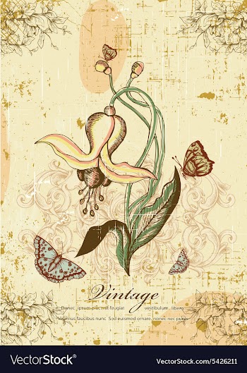 Butterflies with floral vector image