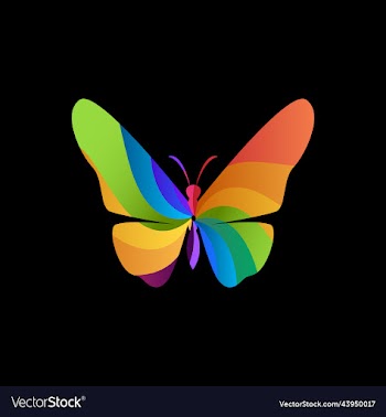 butterfly abstract colorful logo