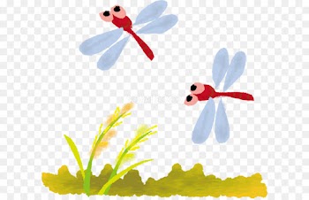 Butterfly, Akatombo, Cartoon, Dragonflies And Damseflies, Insect PNG