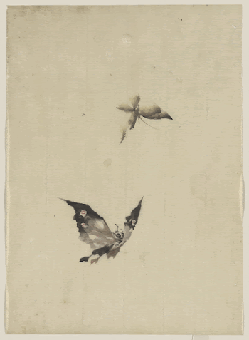 [Butterfly and moth]. Original from the Library | Free Photo - rawpixel
