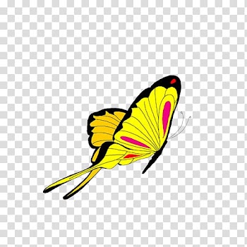 Butterfly Animation , butterfly transparent background PNG clipart