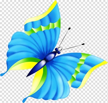 Butterfly Animation , dragonfly transparent background PNG clipart