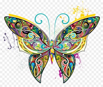 Butterfly Art Illustration - Colorful butterfly 