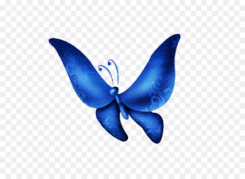 Butterfly Ash Ketchum Insect Vector graphics Portable Network Graphics - duplication 