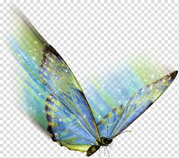 Butterfly .az .net .de .hu, watercolor butterfly transparent background PNG clipart