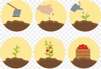 Butterfly Biological life cycle Plant Clip art - Vector strawberry cake origin 