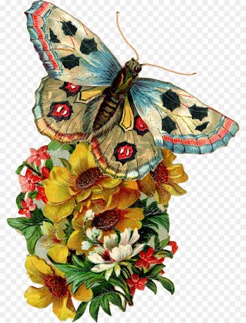 Butterfly Birthday Wedding invitation Party Clip art - retro vintage insignias 