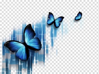 Butterfly Blue Microsoft PowerPoint Illustration, Colorful butterfly transparent background PNG clipart