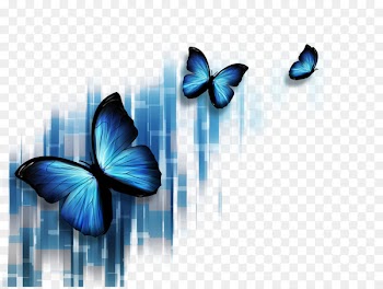 Butterfly Blue Stock photography Microsoft PowerPoint Illustration - Colorful butterfly 