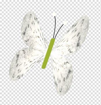 Butterfly Bombycidae Insect, White Butterfly transparent background PNG clipart